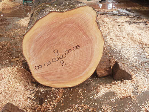 木材標記